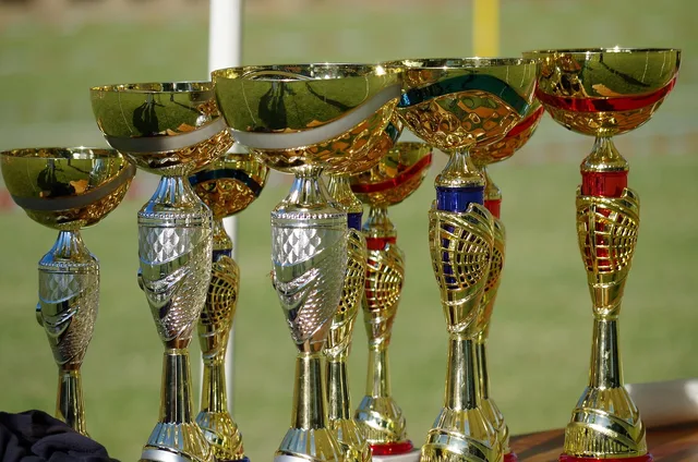 win, cup, competition, the place, reward, medal, reward, reward, reward, reward, medal, medal, medal, medal, medal. Choosing rewards customers actually value